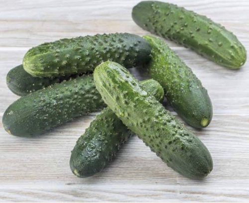 Огурец Мадрилене F1 250 шт