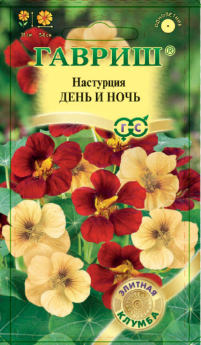 Настурция День и Ночь