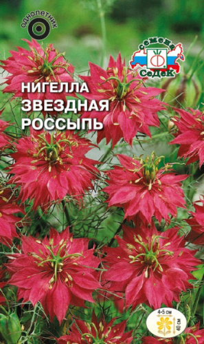 Нигелла Звездная россыпь (дамасская)