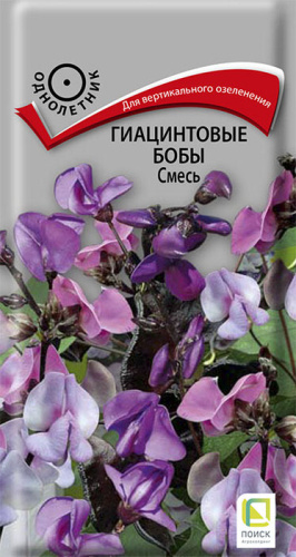 Гиацинтовые бобы Смесь