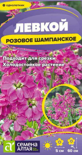 Левкой Розовое Шампанское 