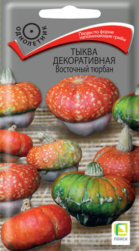 Тыква Восточный тюрбан декоративная