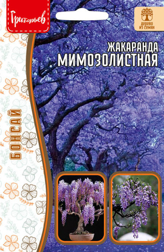 Жакаранда Мимозолистная