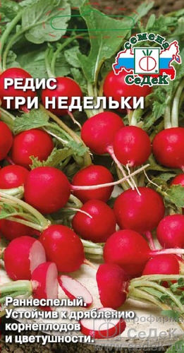 Редис Три Недельки 