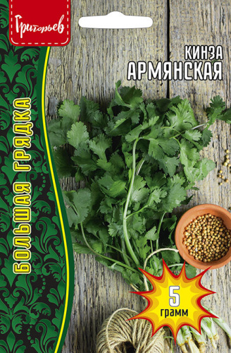 Кинза Армянская