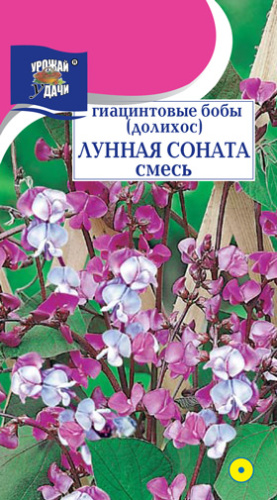 Бобы Гиацинтовые (Долихос) Лунная Соната, смесь 