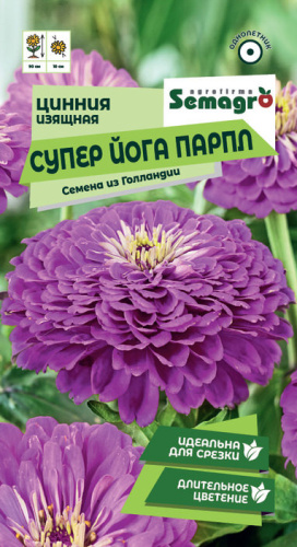 Цинния изящная Супер Йога Парпл 