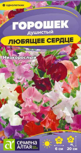 Душистый горошек Любящее сердце