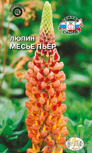 Люпин Месье Пьер