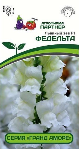 Львиный Зев Гранд Аморе F1 Федельта