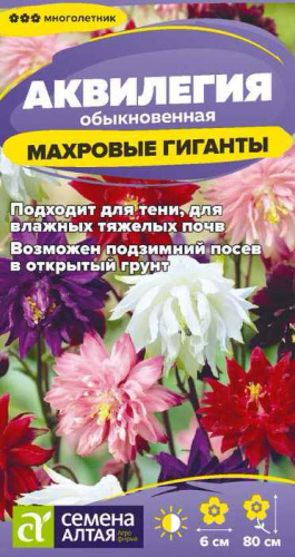 Аквилегия Махровые Гиганты Смесь