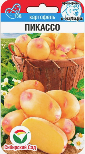Картофель (семена) Пикассо