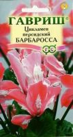 Цикламен персидский Барбаросса  купить