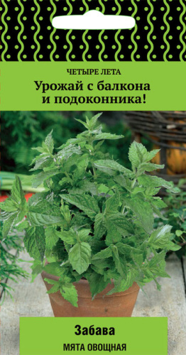 Мята Забава