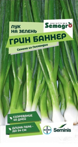 Лук на зелень Грин Баннер