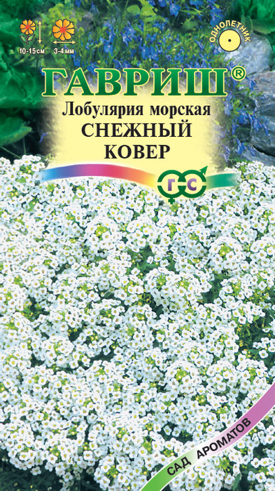 Лобулярия Снежный ковер морская 