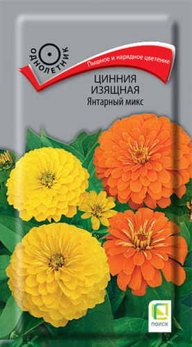 Цинния Янтарный микс изящная