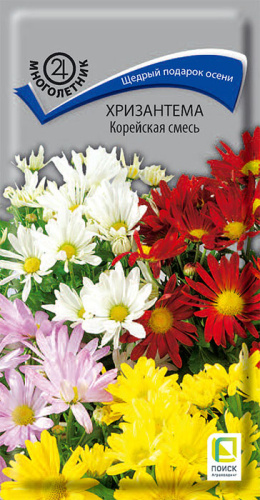 Хризантема Корейская смесь