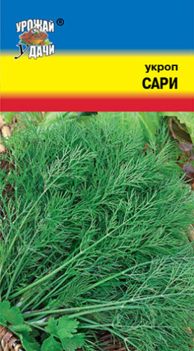 Укроп Сари кустовой 