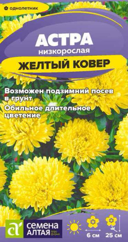 Астра Желтый Ковер низкорослая