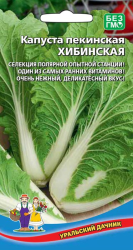 Капуста (пекинская) Хибинская