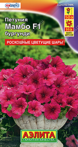 Петуния Мамбо F1 бургунди многоцветковая 