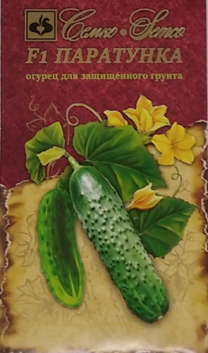 Огурец Паратунка F1