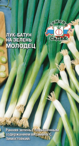 Лук (батун) Молодец