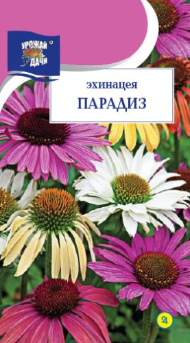 Эхинацея Парадиз