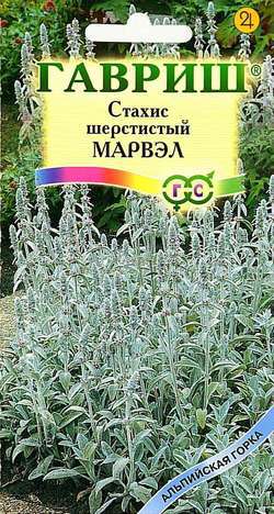 Стахис шерстистый Марвэл 