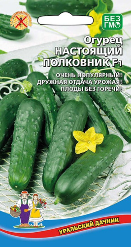 Огурец Настоящий полковник F1  (УД)