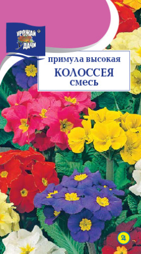 Примула высокая Колоссея Смесь 