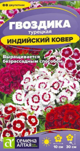 Гвоздика Индийский Ковёр турецкая