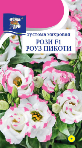 Эустома Рози Роуз Пикоти F1 махр.