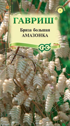 Бриза Амазонка трясунка