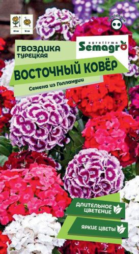 Гвоздика Восточный ковер турецкая