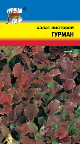 Салат Гурман листовой 