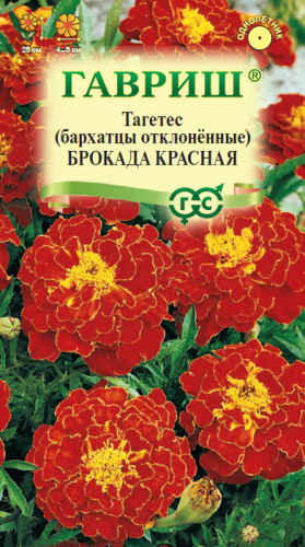 Бархатцы Брокада красные откл.