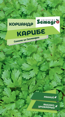 Кориандр Карибе