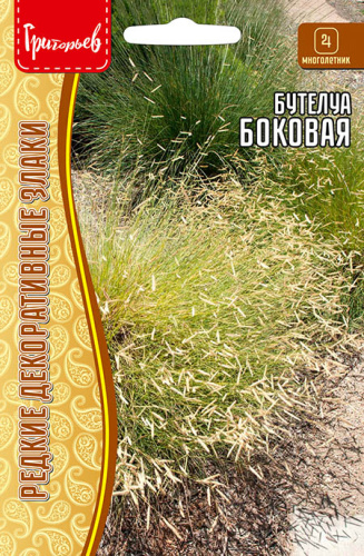 Бутелуа Боковая (Bouteloua curtipendula)