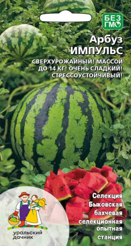 Арбуз Импульс  (УД) 
