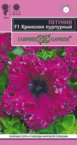 Петуния Кринолин F1 пурпурный бахромчатая (Фриллитуния) 