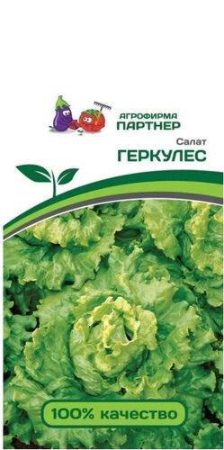 Салат Геркулес листовой 