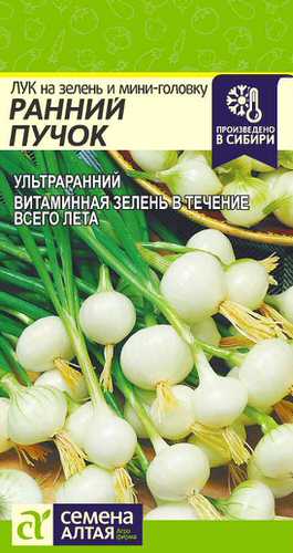 Лук на зелень и мини-головку Ранний Пучок