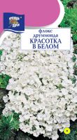 Флокс Красотка в белом купить