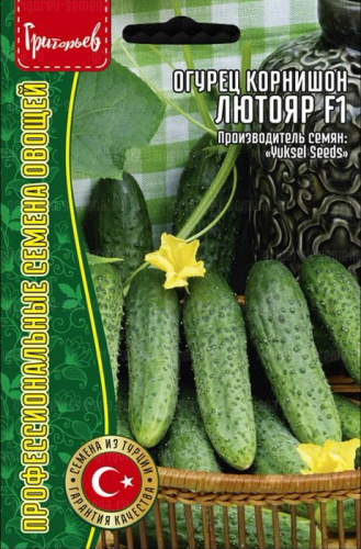 Огурец Лютояр (корнишон) Турция