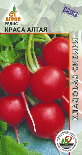 Редис Краса Алтая 