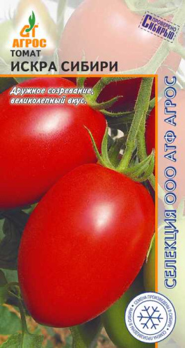 Томат Искра Сибири 