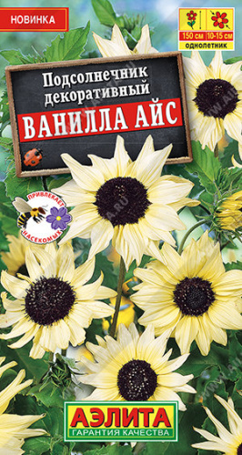 Подсолнечник декоративный Ванилла айс 