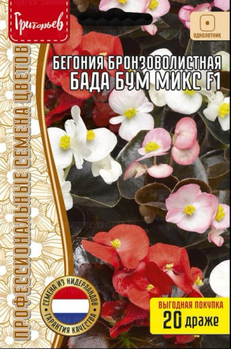 Бегония Бада Бум Микс F1 бронзоволист.